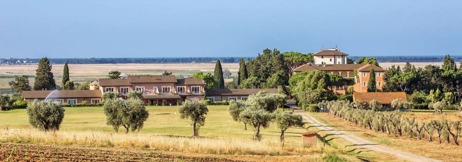 L'Andana tra gli ulivi della tenuta La Badiola, in Maremma